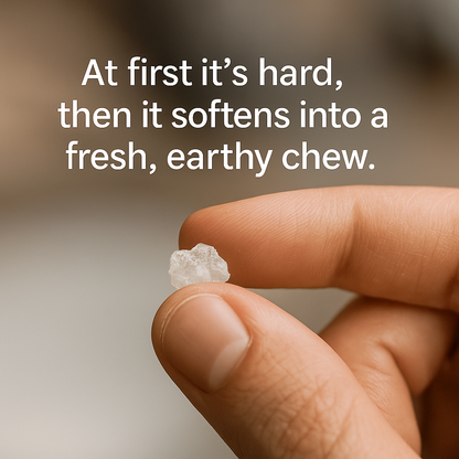 Chew Pure. Chew Natural