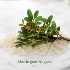 Mastic Gum Transform Mega Pack